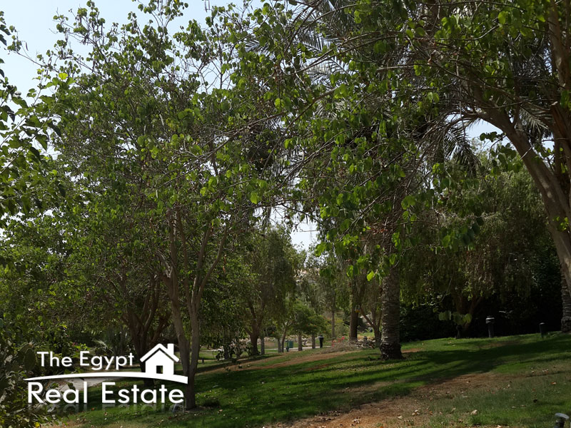 The Egypt Real Estate :Residential Twin House For Rent in Arabella Park - Cairo - Egypt :Photo#10