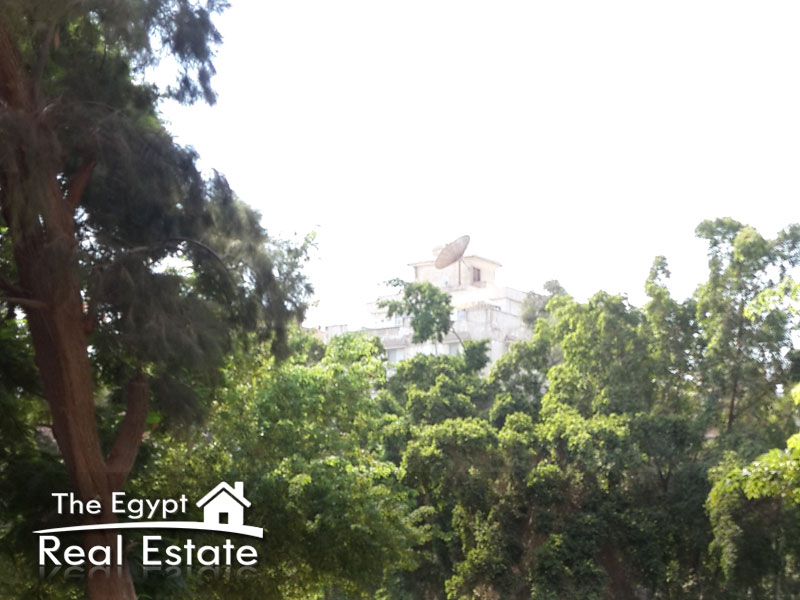 The Egypt Real Estate :Residential Penthouse For Rent in Digla - Cairo - Egypt :Photo#7