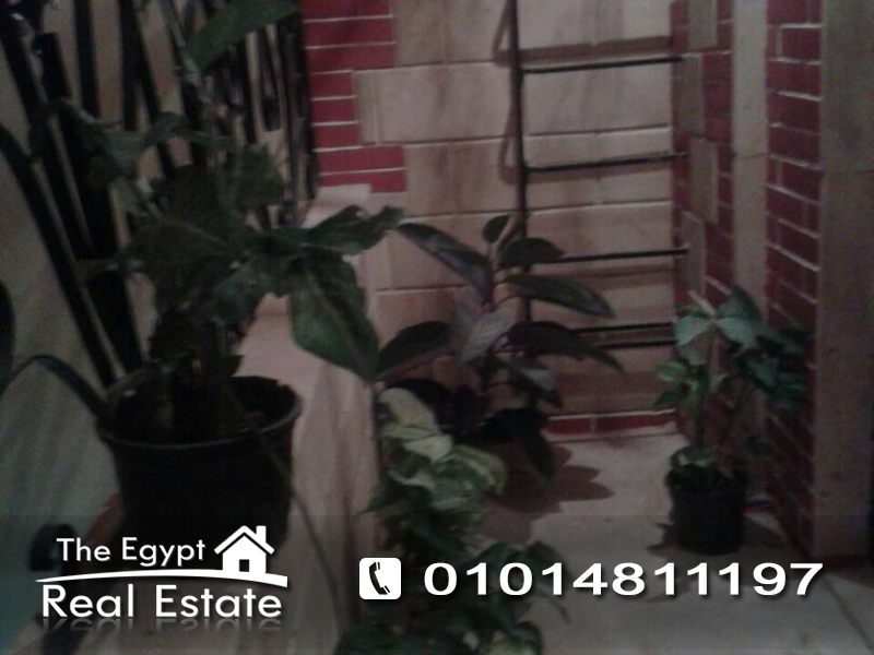 ذا إيجبت ريل إستيت :سكنى شقق للإيجار فى النرجس 1 - القاهرة - مصر :Photo#8