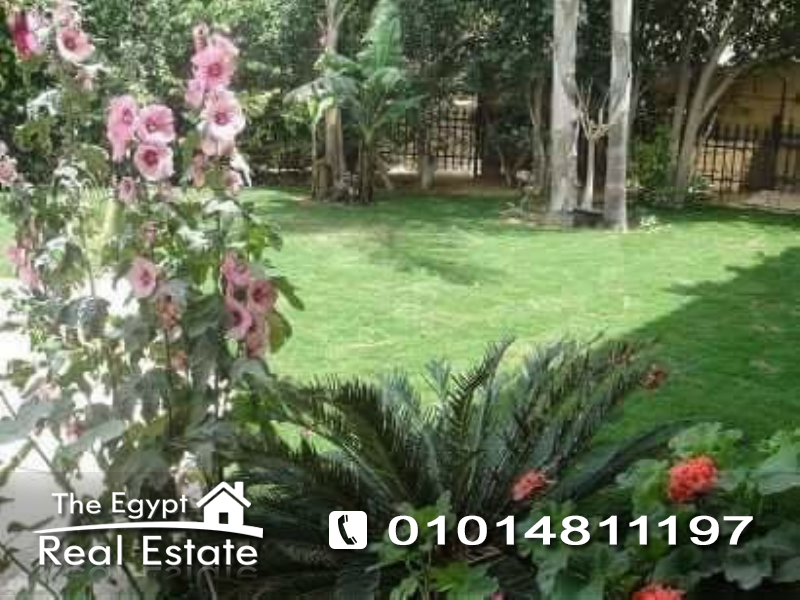 The Egypt Real Estate :Residential Stand Alone Villa For Rent in Katameya Heights - Cairo - Egypt :Photo#8