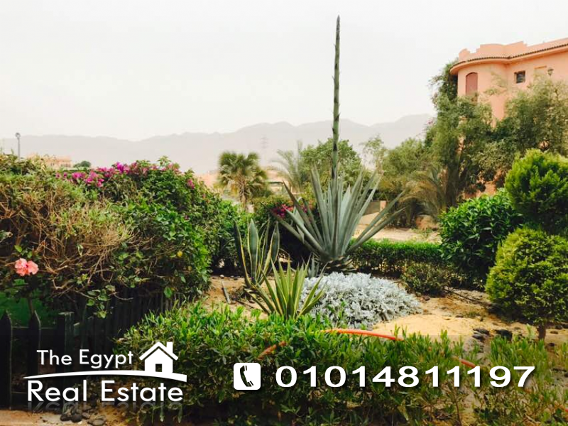 The Egypt Real Estate :Vacation Chalet For Rent in Marina Wadi Degla - Ain Sokhna / Suez - Egypt :Photo#9