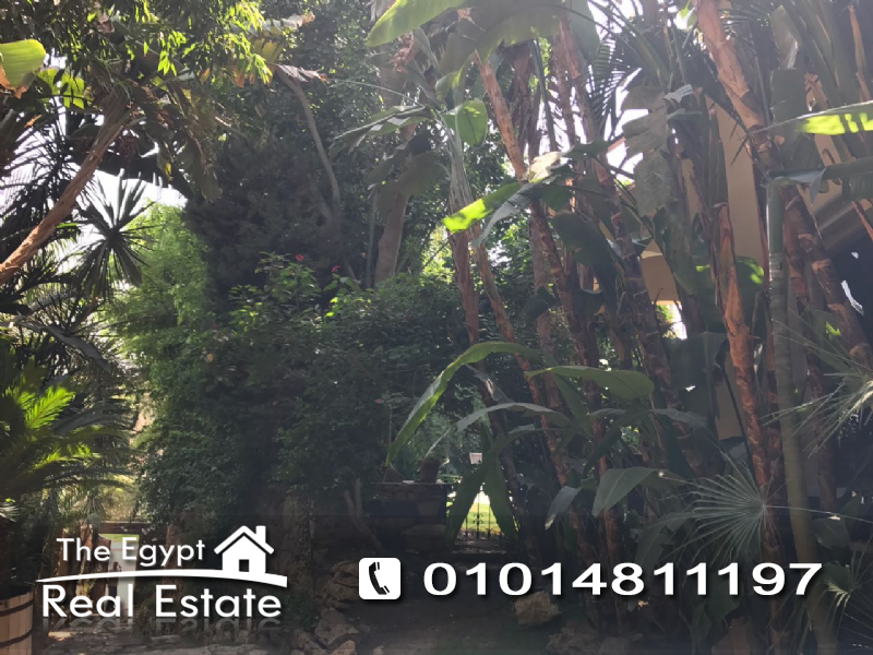 The Egypt Real Estate :Residential Villas For Rent in Katameya Heights - Cairo - Egypt :Photo#9