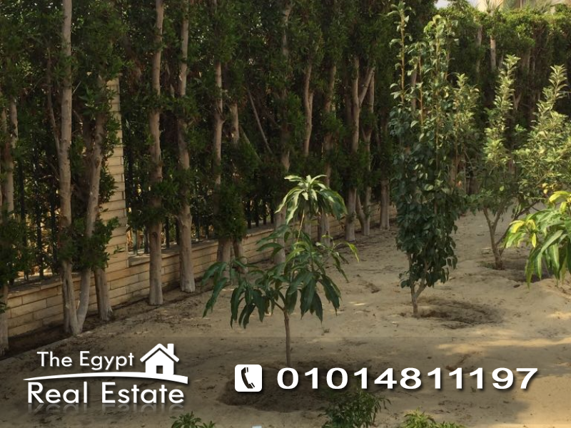The Egypt Real Estate :Residential Villas For Rent in Andalus - Cairo - Egypt :Photo#6