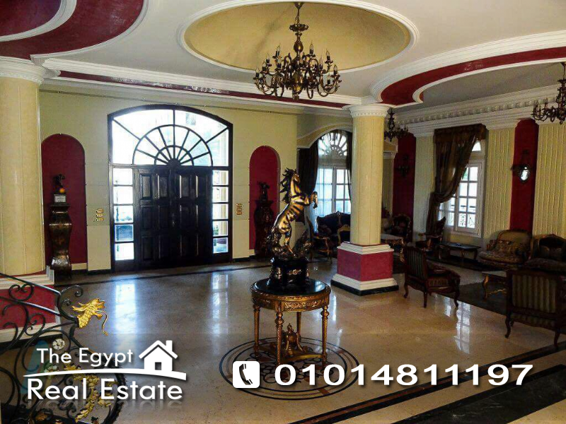 The Egypt Real Estate :Residential Villas For Sale in  Ganoub Akademeya - Cairo - Egypt