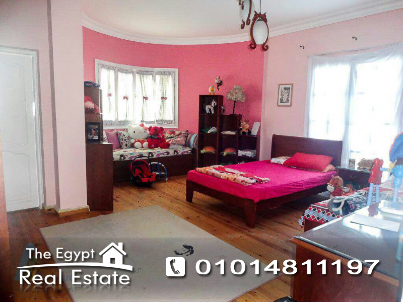 The Egypt Real Estate :Residential Villas For Sale in Ganoub Akademeya - Cairo - Egypt :Photo#7