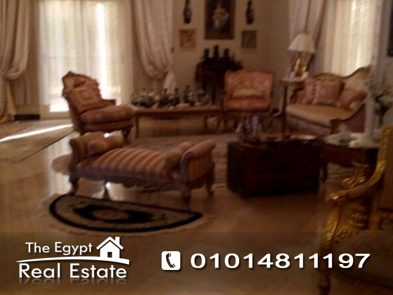 The Egypt Real Estate :Residential Villas For Sale in Ganoub Akademeya - Cairo - Egypt :Photo#4