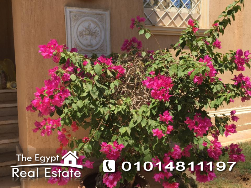 The Egypt Real Estate :Residential Twin House For Rent in Grand Residence - Cairo - Egypt :Photo#4