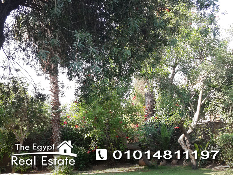 The Egypt Real Estate :Residential Stand Alone Villa For Rent in  Katameya Heights - Cairo - Egypt