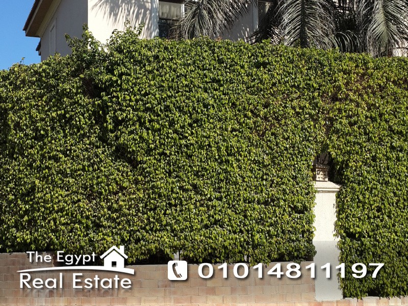 The Egypt Real Estate :Residential Villas For Rent in Katameya Heights - Cairo - Egypt :Photo#2