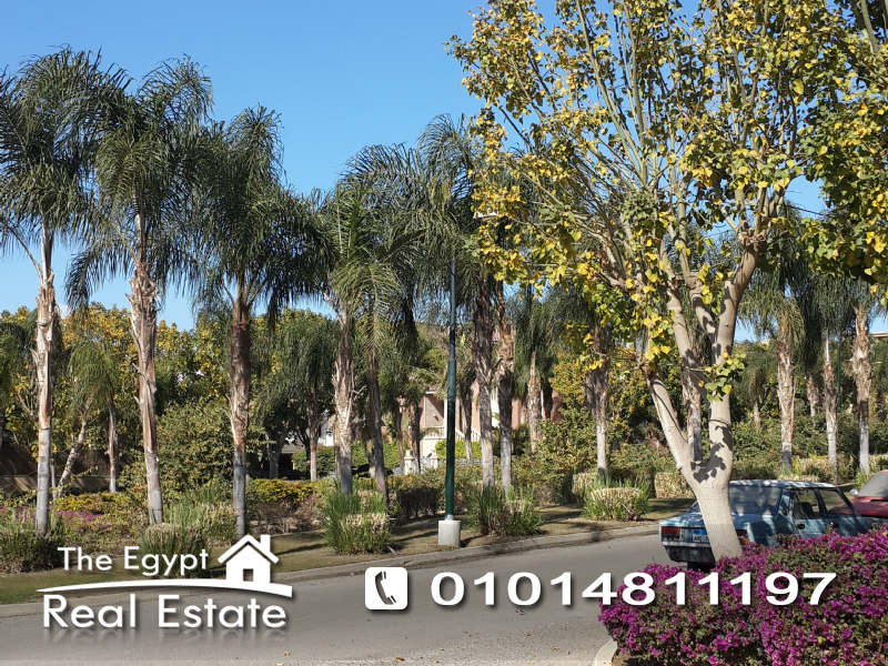 The Egypt Real Estate :Residential Villas For Rent in Katameya Heights - Cairo - Egypt :Photo#5