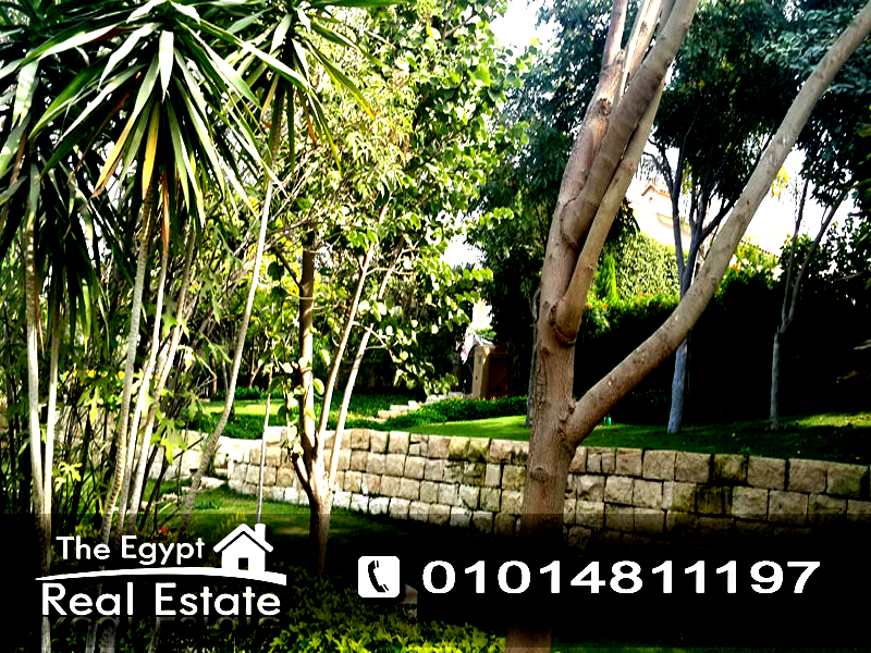 The Egypt Real Estate :Residential Stand Alone Villa For Rent in Katameya Hills - Cairo - Egypt :Photo#18